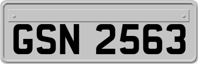 GSN2563