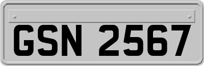 GSN2567