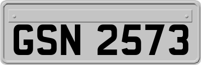 GSN2573