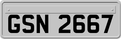 GSN2667