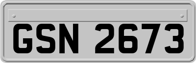 GSN2673