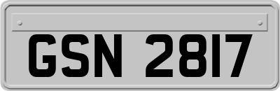 GSN2817