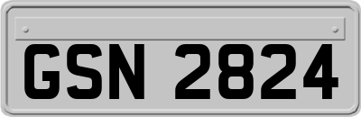 GSN2824