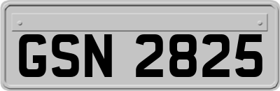 GSN2825