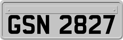 GSN2827