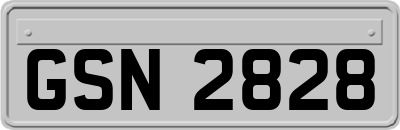 GSN2828
