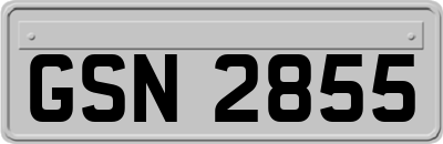 GSN2855