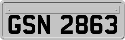 GSN2863