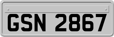 GSN2867