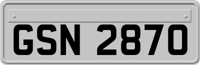 GSN2870