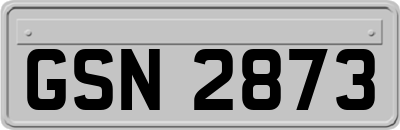 GSN2873