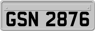 GSN2876