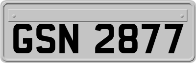 GSN2877