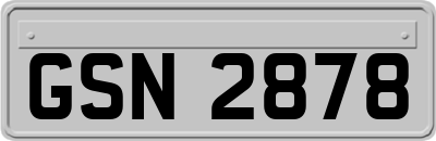 GSN2878