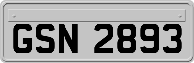 GSN2893