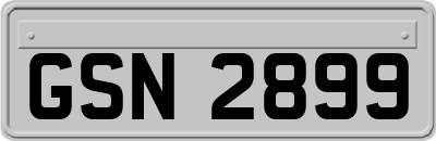 GSN2899