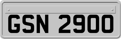 GSN2900