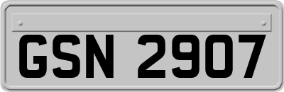 GSN2907
