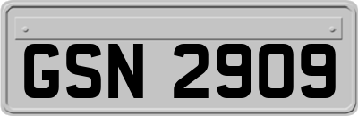 GSN2909
