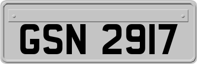 GSN2917