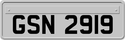 GSN2919