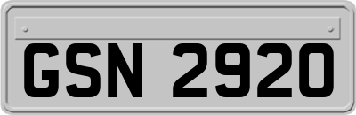 GSN2920