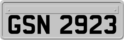 GSN2923
