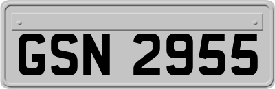 GSN2955