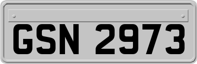 GSN2973