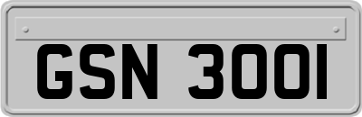 GSN3001