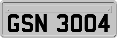 GSN3004