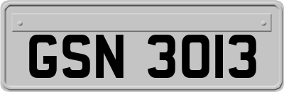 GSN3013