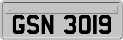 GSN3019