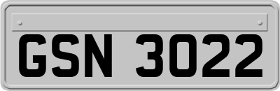 GSN3022