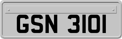 GSN3101