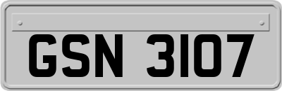 GSN3107