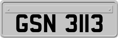 GSN3113