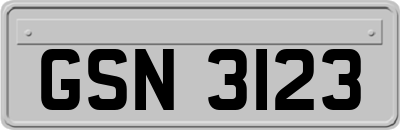 GSN3123