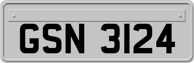 GSN3124