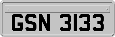 GSN3133