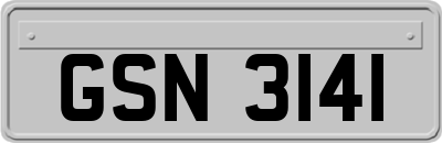 GSN3141