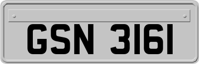 GSN3161