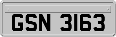 GSN3163