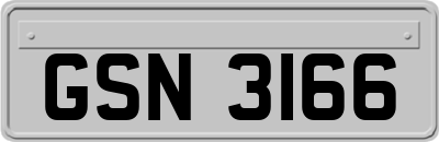 GSN3166
