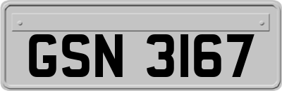 GSN3167