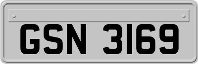 GSN3169
