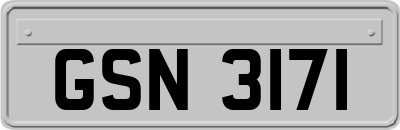 GSN3171