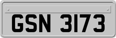 GSN3173