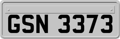 GSN3373