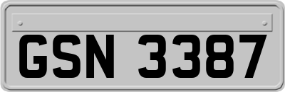 GSN3387